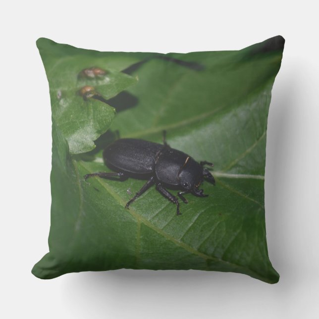 Cojín De Exterior Dorcus parallelipipedus , el escarabajo de menor t (Anverso)