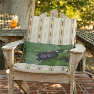 Cojín De Exterior Dorcus parallelipipedus , el escarabajo de menor t