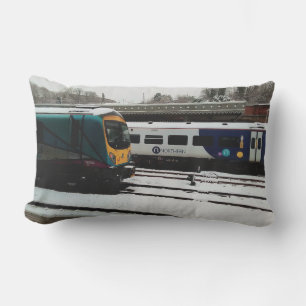 Cojín De Exterior Dos trenes, en la nieve