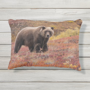 Cojín De Exterior El Oso Grizzly Se Mueve A Través De Los Colores De