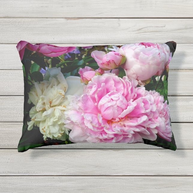 Cojín De Exterior Elegante foto de jardín florido de peonia blanca r (Anverso)