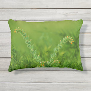 Cojín De Exterior Fotografía de una planta salvaje verde