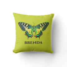 Fotografía moderna Cuta mariposa Verde