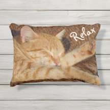 Gato de relajación