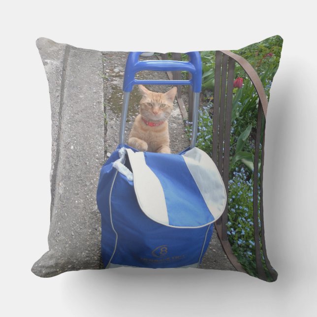 Cojín De Exterior Ginger Cat Pillow (Anverso)