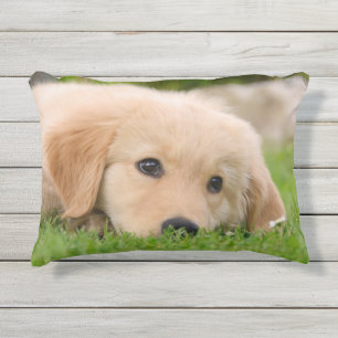 Cojín De Exterior Golden Retriever Cute Puppy Dreams Dog Head