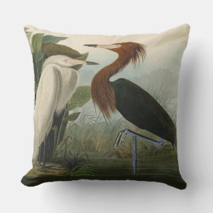 Cojín De Exterior Grabado de Garza Morada de Audubon: Arte de Aves