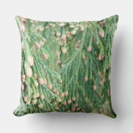 Cojín De Exterior GreenLight