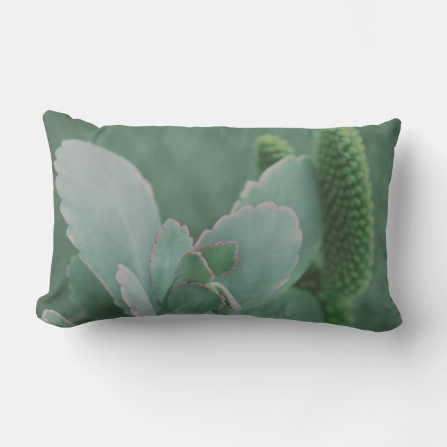 Cojín De Exterior Hermosa Planta Desierta Fotografía de Arte (Anverso)