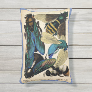 Cojín De Exterior "Insectos del SE Seguy 1920"