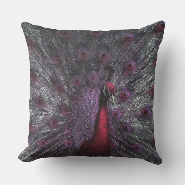 Cojín De Exterior Los pavos reales hermosos plumas abiertas (Anverso)