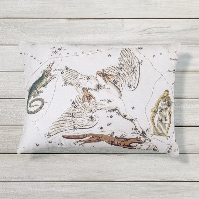 Cojín De Exterior Mapa astronómico vintage (Reverso)