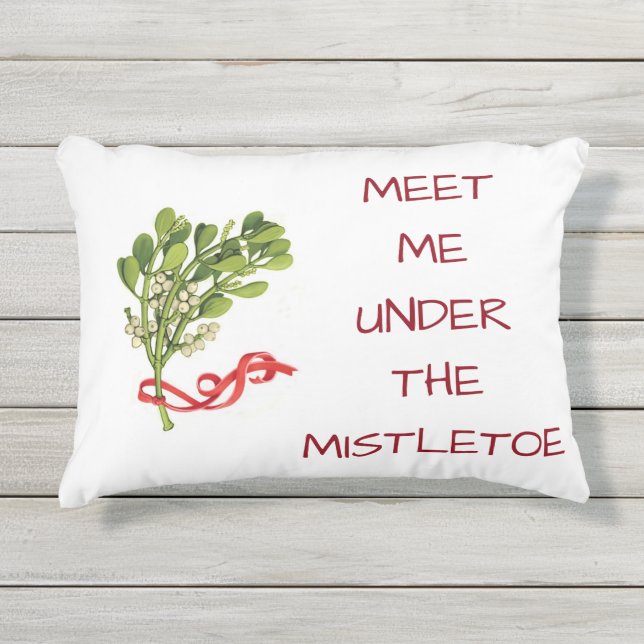 COJÍN DE EXTERIOR **ME ENCUENTRAN BAJO LOS MISTLETAS** NAVIDADES (Anverso)