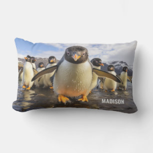 Cojín De Exterior Nombre personalizado de los pingüinos de Guay