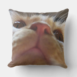 Cojín De Exterior Ojos de macro de gato graciosos