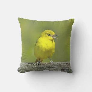 Cojín De Exterior Orchard Oriole - Foto original
