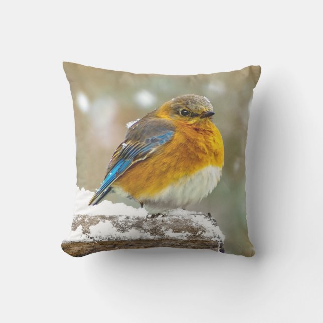Cojín De Exterior Pájaro azul oriental en nieve - Fotografía origina (Anverso)