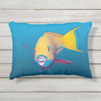 ¡Parrofish Cierre! Fondo azul gradiente |