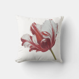 Cojín De Exterior Parrot Tulip 10x 