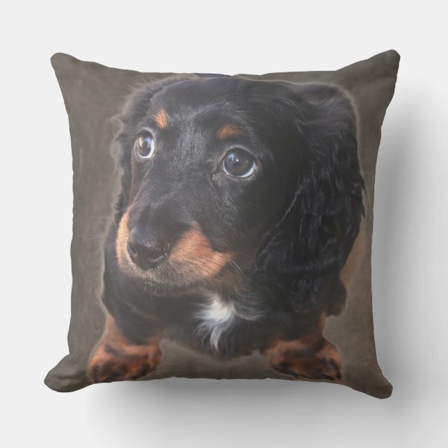 Cojín De Exterior Pillow, Personalizado fotográfico de Dachshund Pup (Anverso)