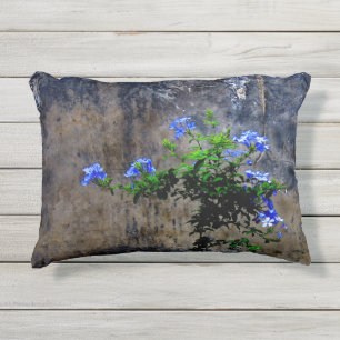 Cojín De Exterior Plumbago azul