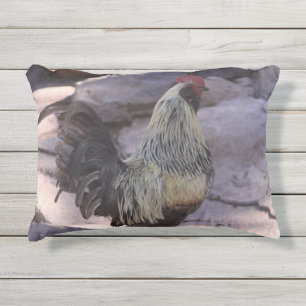 Cojín De Exterior Rooster Pillow