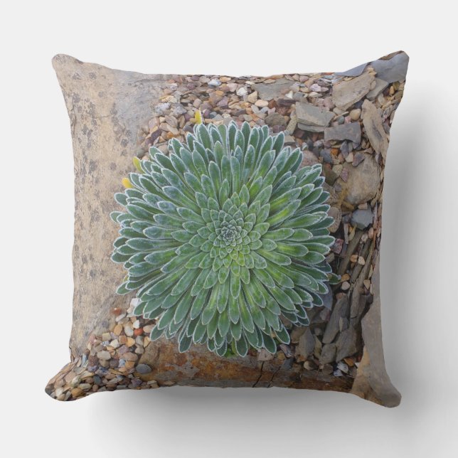 Cojín De Exterior Suculenta planta del desierto (Anverso)