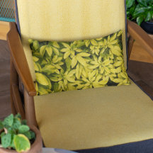 Sundance Naranja Planta Floral
