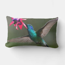 Un colibrí violeta menor