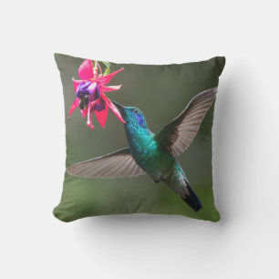 Cojín De Exterior Un colibrí violeta menor en vuelo