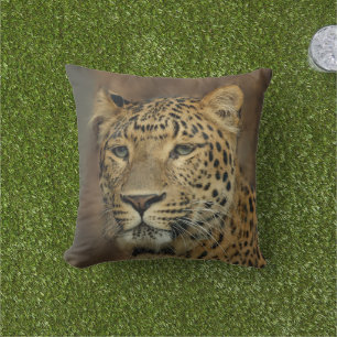 Cojín De Exterior Vida silvestre de Leopard Lovers