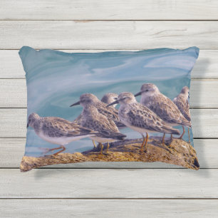 Cojín De Exterior Young Ruddy Turnstones