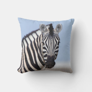 Cojín De Exterior Zebra mirándote con foto de cielo azul