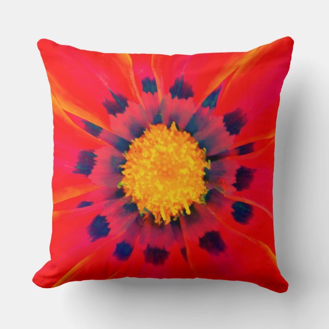 Cojín decorativo (Anverso)