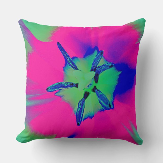 Cojín decorativo (Anverso)