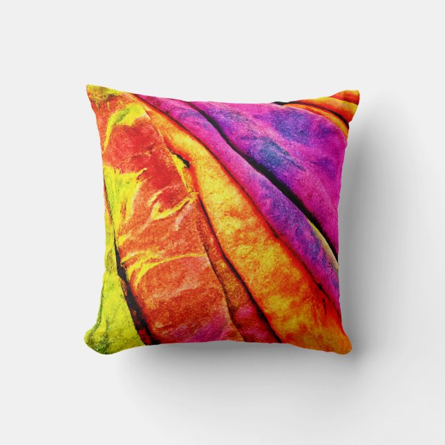 Cojín decorativo (Anverso)