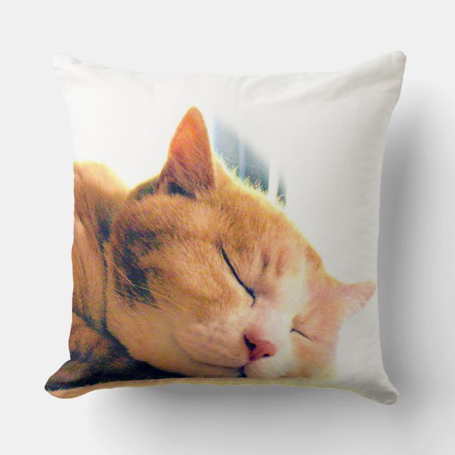 COJÍN DECORATIVO うちのかわいこちゃんのクッション (Anverso)