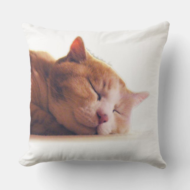 COJÍN DECORATIVO うちのかわいこちゃんのクッション (Anverso)