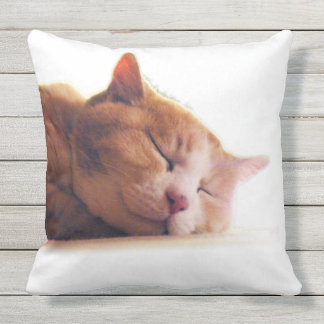 COJÍN DECORATIVO うちのかわいこちゃんのクッション