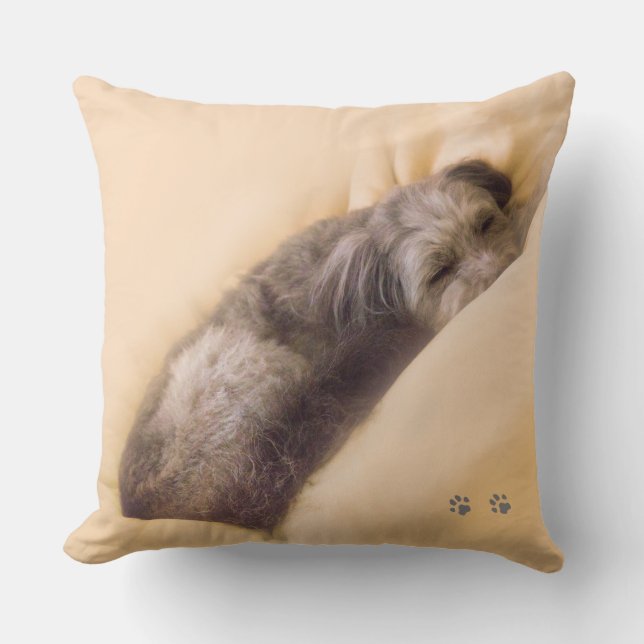 COJÍN DECORATIVO 犬の眠りクッション クッション (Anverso)