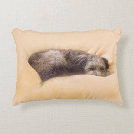 COJÍN DECORATIVO 犬の眠り(アクセントクッション)