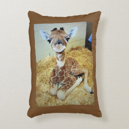 Cojín decorativo 12x16 Baby Giraffe