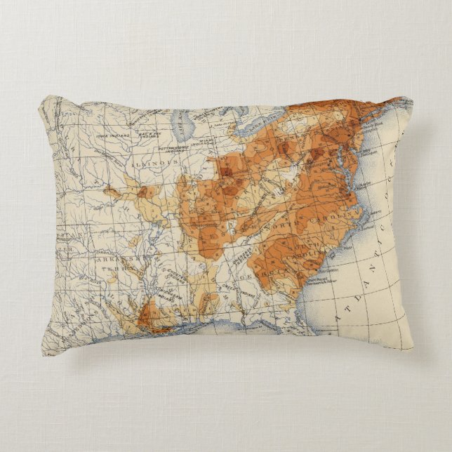 Cojín Decorativo 5 población 1820 (Anverso)