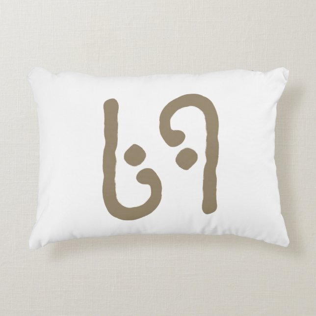 COJÍN DECORATIVO 69 PILOTO ACENTE (Anverso)