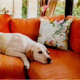 Cojín Decorativo Abide a mi Fruitosa Fe