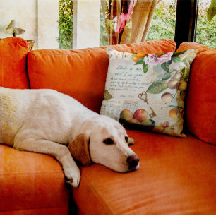 Cojín Decorativo Abide a mi Fruitosa Fe