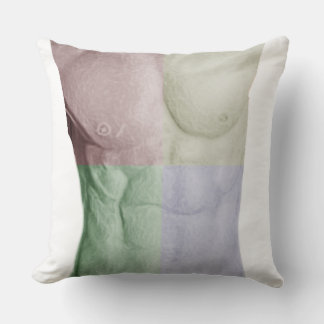 Cojín Decorativo Abs Pillow