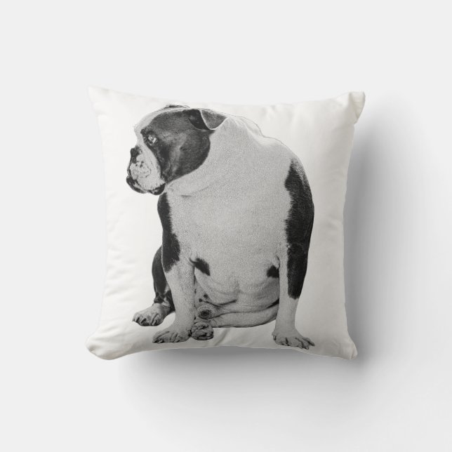 Cojín Decorativo Acento sentado en la parte inferior (Anverso)