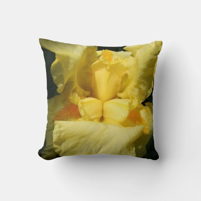 Cojín Decorativo Acercamiento de la flor de iris amarillo (Anverso)