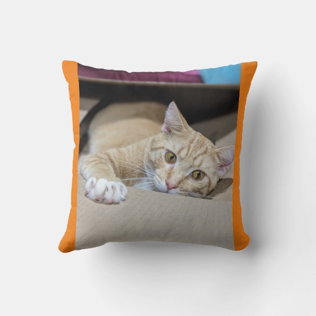 Cojín Decorativo "Acogedor Naranja Tabby Cat Pillow - Cálido Encant (Reverso )
